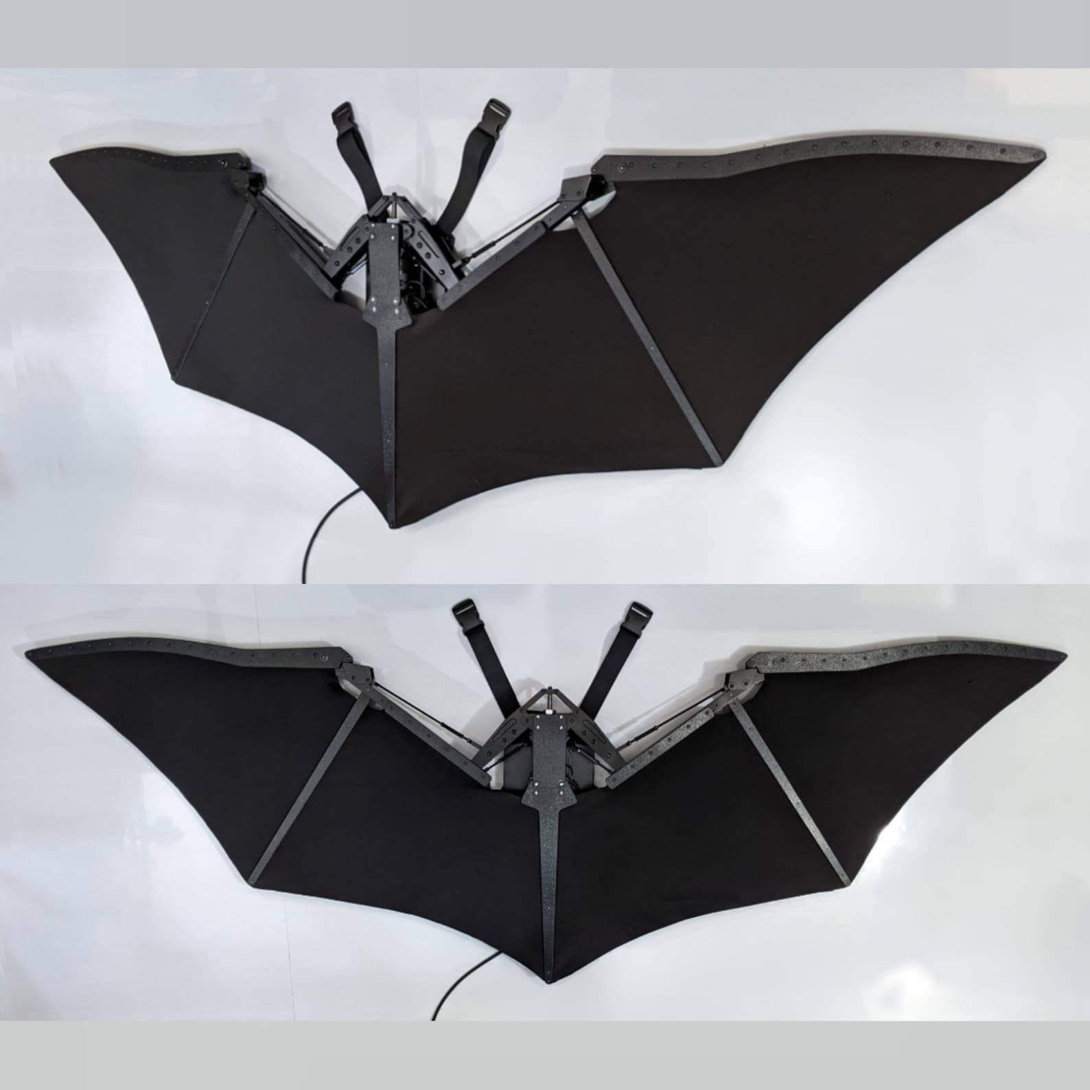 V2.6 XL Mechanical Bat Wings – Bionicconcepts